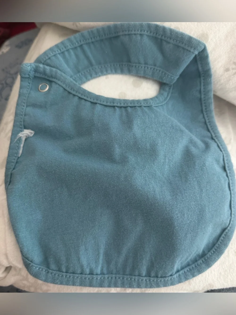 Cloud Island Dino Print Bibs